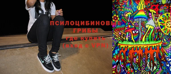 тгк Белокуриха